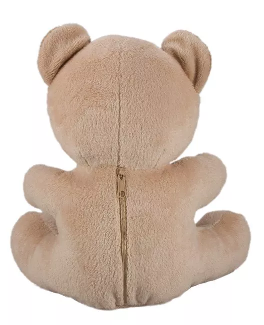 Camera hidden sales in teddy bear