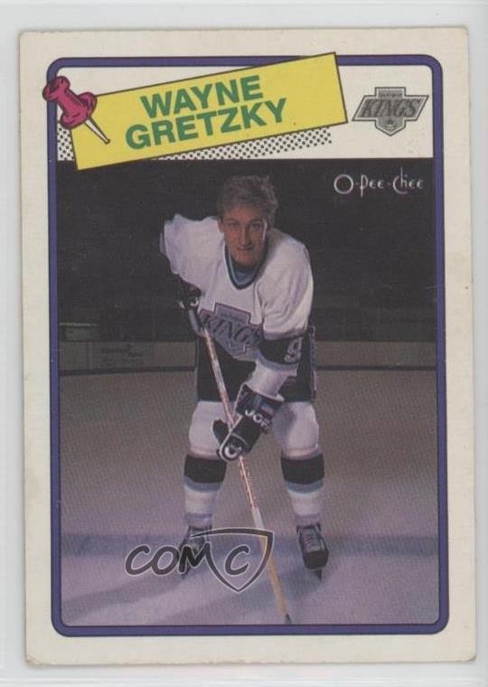 1988-89 O-Pee-Chee Wayne Gretzky #120 HOF 06tj