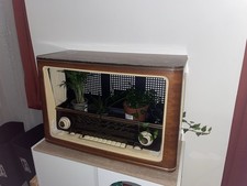 Ancien Poste De Radio Vintage Plante