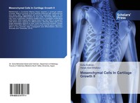 Soha Soliman (U. A.) | Mesenchymal Cells In Cartilage Growth II | Taschenbuch
