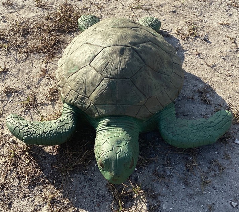 latex fiberglass mold. Make Concrete Or Plaster 18 Inches Long Sea turtle. 