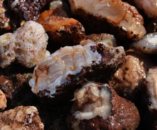 Calandria Agate Nodules - Rough Rocks for Lapidary/Cabochon - Bulk Wholesale