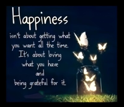 Happiness isn't getting wants all time about loving grateful what U have MAGNET
