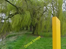Photo 12x8 Willow trees along the River Wreake Syston/SK6211  c2014