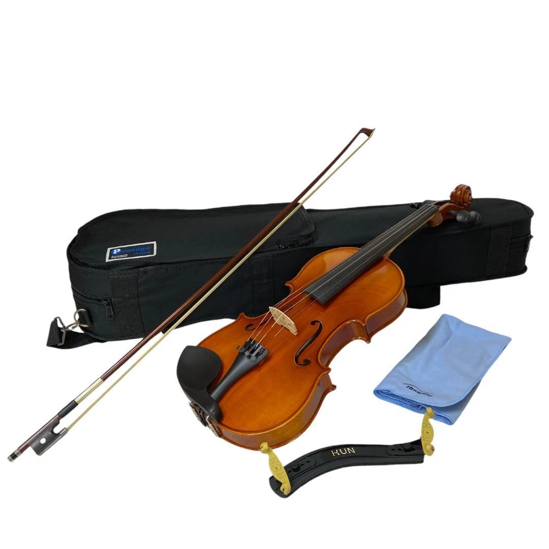 Eastman Violin for sale | eBay UK