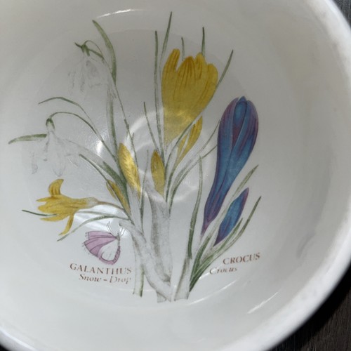 Portmeirion Botanic Garden Large Salad Serving Bowl 5.5" Lot Of 7 Rare - Picture 13 of 20