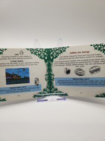 Joe & Mac (Nintendo NES, 1992) Authentic with Manual