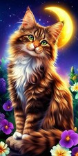 Cat Moon Flowers Paint by Numbers Kit DIY Painting Set