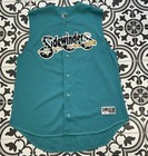 Sidewinders Club Stitched Mens Large Sports Softball Baseball Jersey
