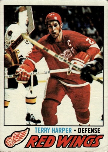 1977-78 TOPPS NHL Card Set Break #1-#264 — You Choose! Rookies, Stars & Commons - Picture 12 of 315
