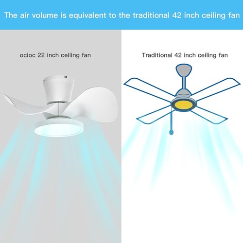 Elegant Remote-Controlled Ceiling Fan (22 Inch) with LED & Multi-Speed Options - Picture 5 of 10