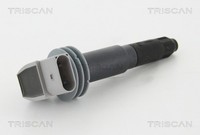 Triscan ZüNdspule 8860 20005 FüR 987 Boxster 911 981 991 Cayman Porsche 997 720