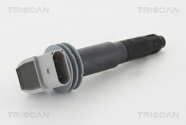 Triscan ZüNdspule 8860 20005 FüR 987 Boxster 911 981 991 Cayman Porsche 997 720-image