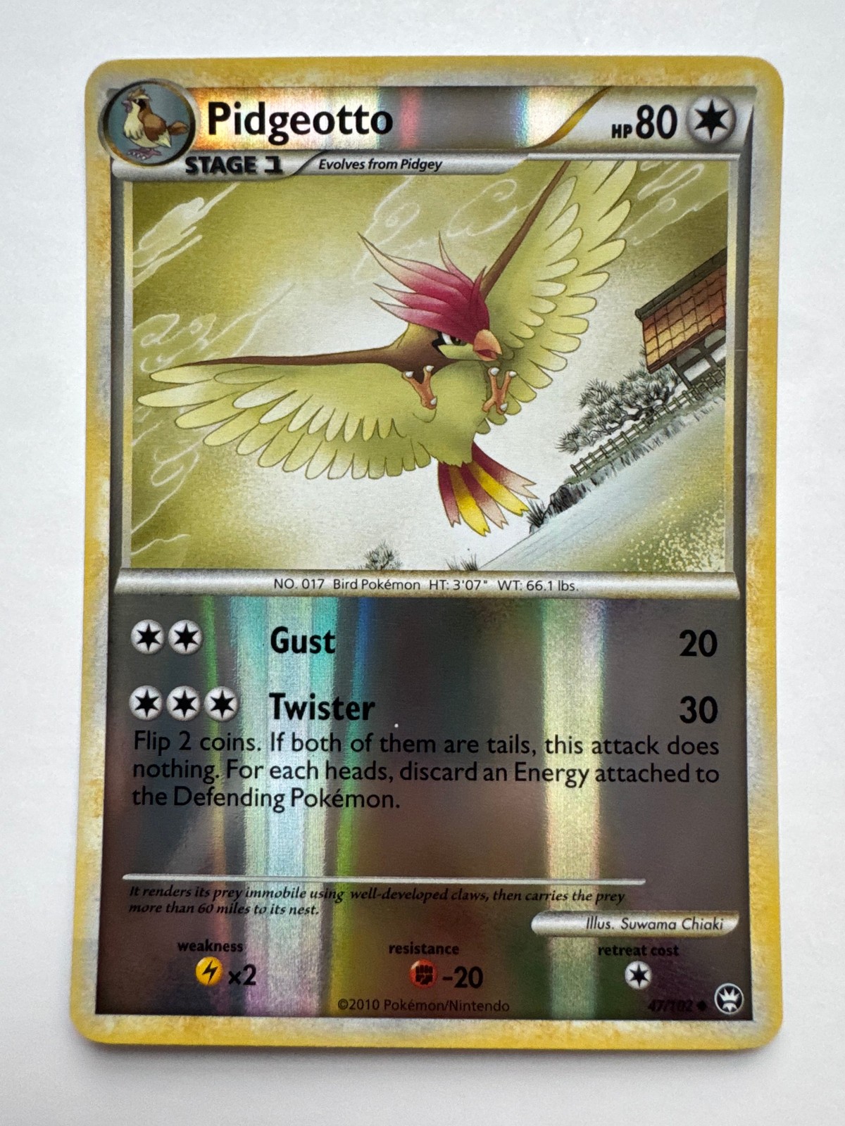 Pokemon TCG Pidgeotto 47/102 HS-Triumphant Reverse Holo L@@K!