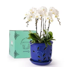 6.1 in Ceramic Orchid Pot with Holes & Saucers, Large Orchid Planter for Indo...