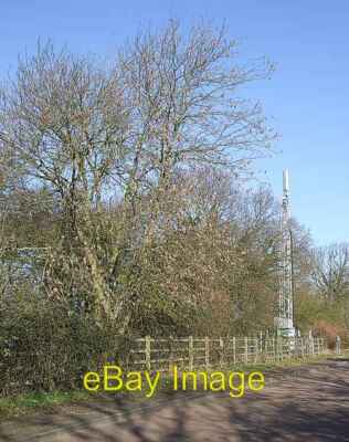 Photo 6x4 Mast & Tree Great Brickhill This telecom mast is opposite the j c2007