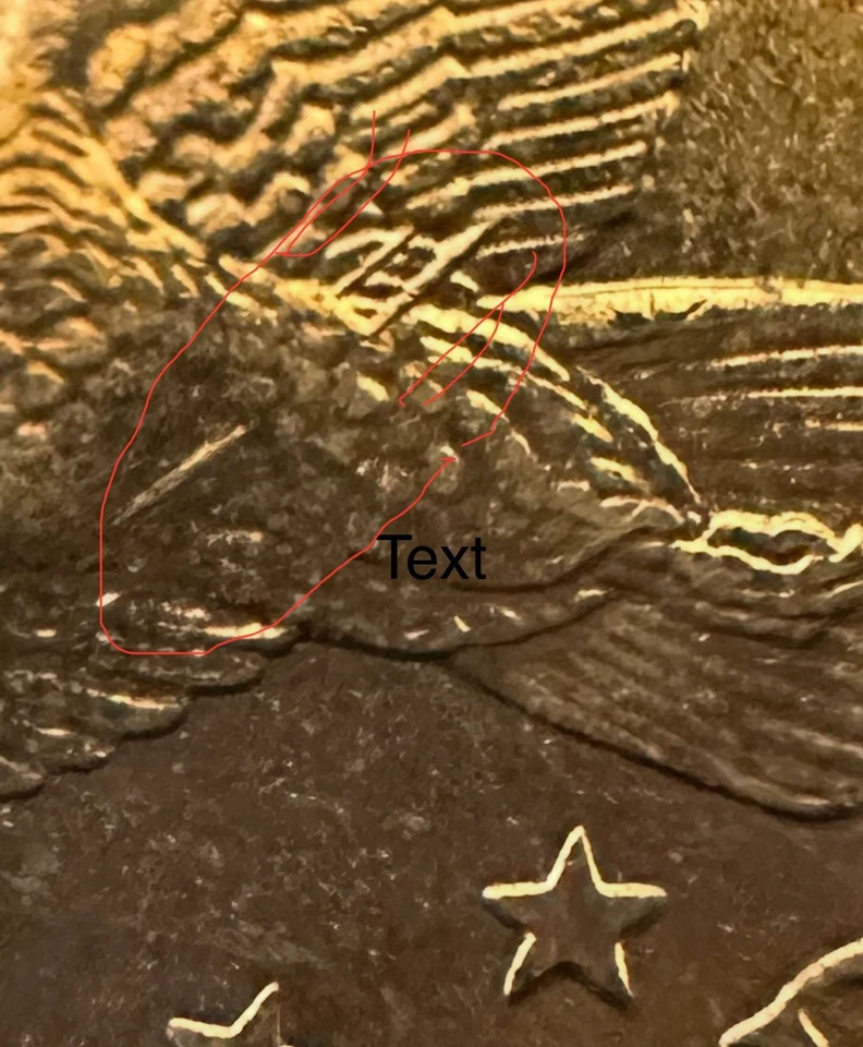 2000p $1 Sacagawea DOUBLE Wounded Eagle RARE 2 Error See Description And Photos - Image 3 of 3