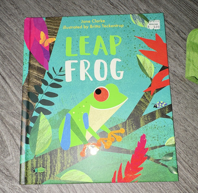 Leap Frog - Jane Clarke Picture Book 2020 Illus Britta Teckentrup Neon Animals