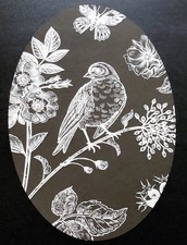 DCentral Bird Butterfly Etched Glass Window Vinyl Cling Decal, 8"x12"