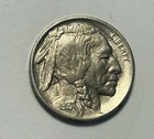 1913 s buffalo nickel type 1