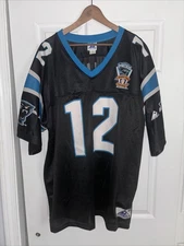 Vtg Carolina Panthers Kerry Collins 1995 Inaugural Season Apex One Jersey XXL