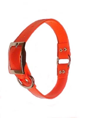 MAYES 1" Plastic Coated Nylon Bright Orange Dog Collar Made In USA