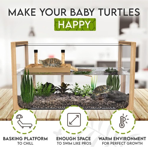 Aquatic Turtle Tank w/ Filter & Light + Turtle Basking Platform Indoor Office - Picture 3 of 7