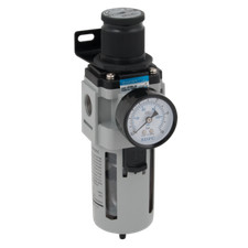Filter Regulator Supplied with Mounting Bracket and Gauge