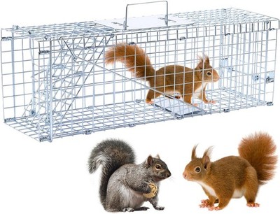24  Humane Animal Trap Live Animal Trap Cage Squirrels Small Stray Cats Rabbits