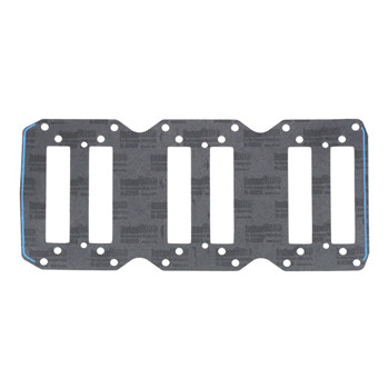ProM Gasket, Intake Mercury 200-300 EFI DFI 3.0L 8141951