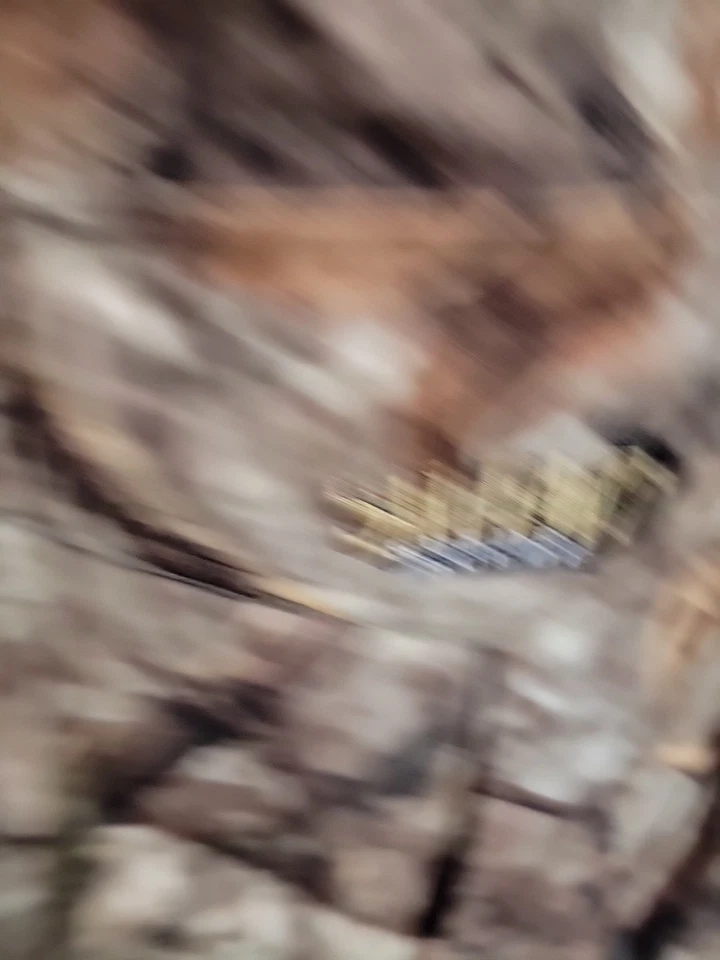 Cabela's Silent Suede 3XL Tall Insulated Bibs Zonz Woodlands Camo - Image 3 of 4