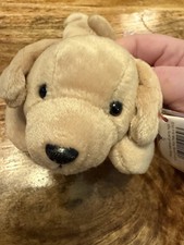 Beanie Baby Fetch The Dog 97/98 Several Tag Errors Ty Collectible Plush Toy