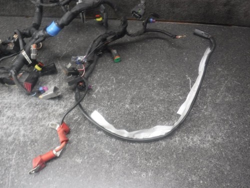 15 Ski Doo MXZ TNT 600 HO ETEC Main Wiring Harness Loom 27K - Bild 4 von 4