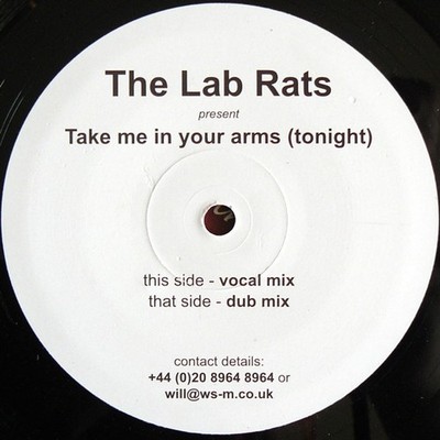 Lab Rats - Take Me In Your Arms (Tonight) (Vinyl 12'' - 2002 - UK - Original)