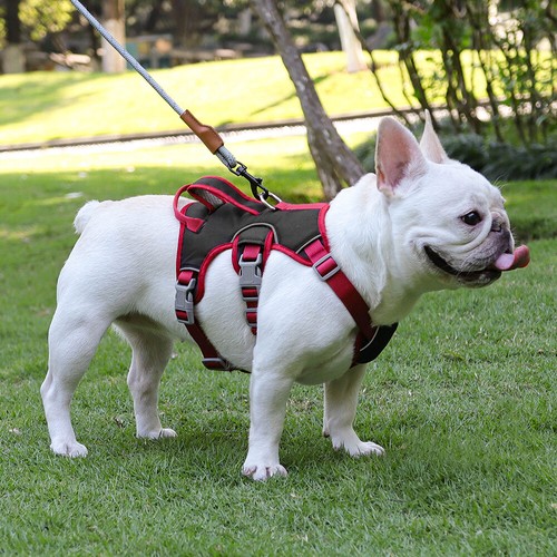 Reflective Anti-Pull Dog Harness Adjustable Padded Pet Vest for French Bulldog - Picture 15 of 17
