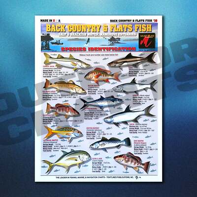 Backcountry & Flats Fish Identification Chart #10 (Salt & Brackish