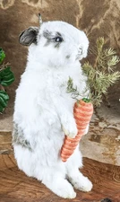 Baby Bunny Rabbit Collectible display decor Taxidermy Oddities Curiosities gift