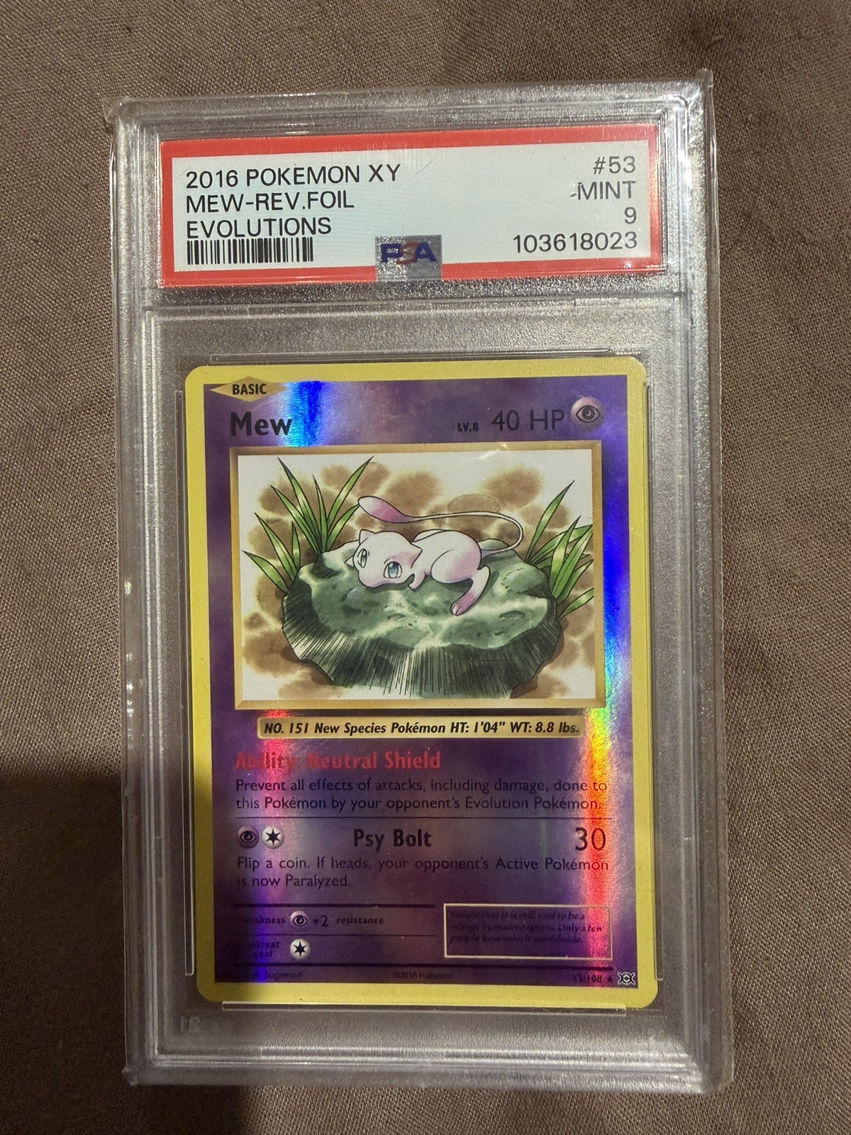 Ebay Item For Sale