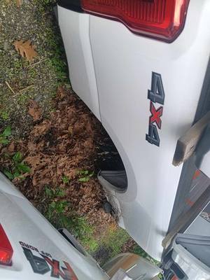 #ad 8FT WHITE Pickup Box bed Assembly FORD F250 SD PICKUP 23 24 $950.00