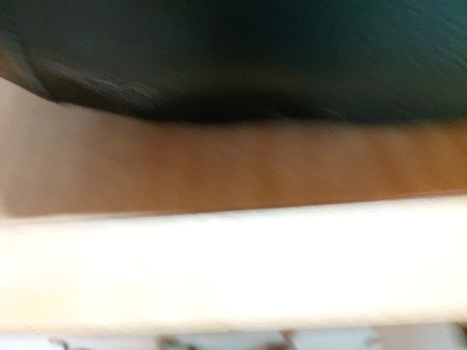 SILLA DE ASIENTO HONDA CT70 CT 70 TRAIL OEM 1980 Foto 2 de 4