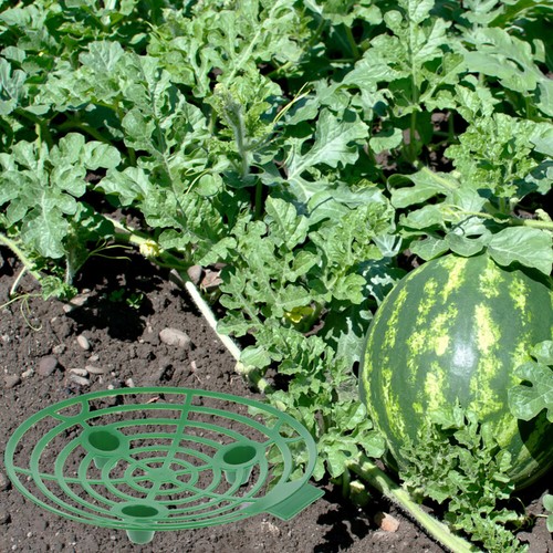 Gartenpflanzer Pflanzkübel Hochbeet Erdbeerpflanzer Erdbeerstützen Für Home - Bild 8 von 12
