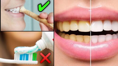 Herbal Natural Miswak Toothbrush Flavored Brush 100% Organic Tooth Stick - Picture 10 of 10