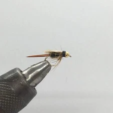 One Dozen (12) - Beadhead Prince Nymph - Black Collar- Nymph