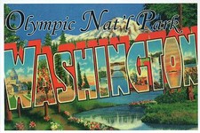 Olympic National Park Washington State, Waterfall - Modern Large Letter Postcard