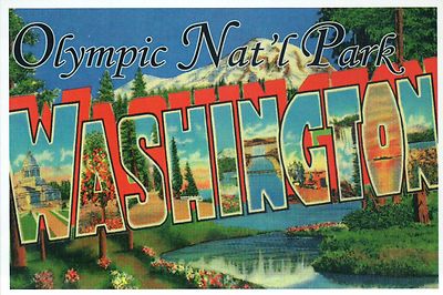 Olympic National Park Washington State, Waterfall - Modern Large Letter Postcard