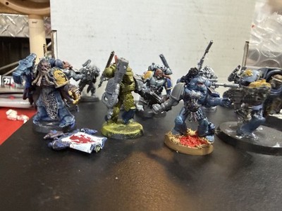 Warhammer 40k Space Wolves Lot 17 OOP Painted Scouts Terminators Rune Priest HQ