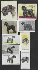 9 Different Vintage KERRY BLUE TERRIER Tobacco/Cigarette Dog Cards