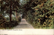 Pepperells Beautiful Drives Pepperell Massachusetts vintage postcard a286