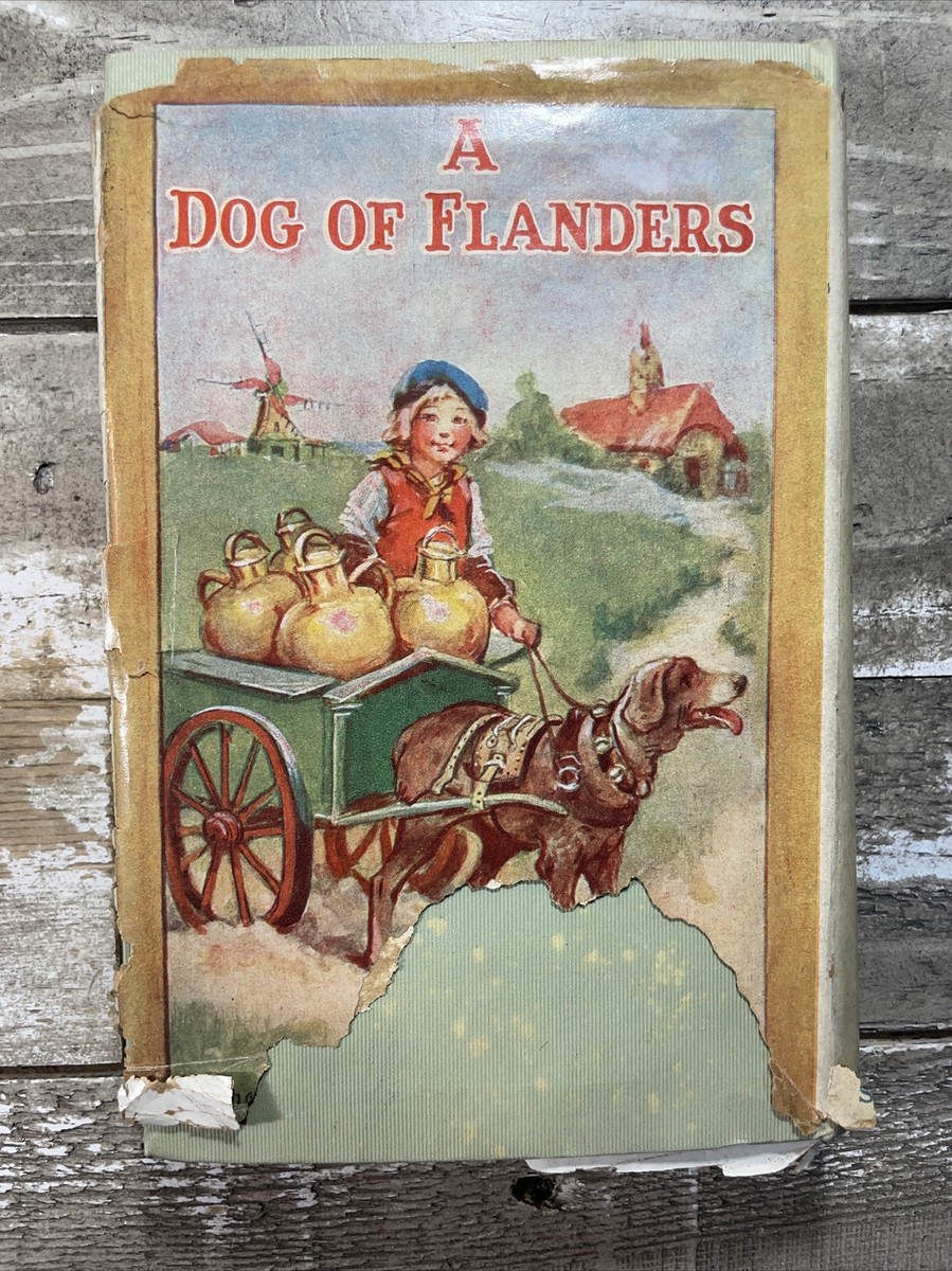 1927 Antique Children's Novel 