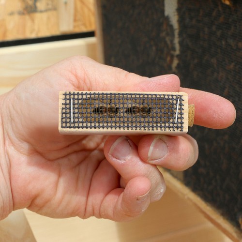 5Pcs Wooden Queen Bee Cage Beekeeping Equipment Beekeepers Tool - Picture 3 of 11